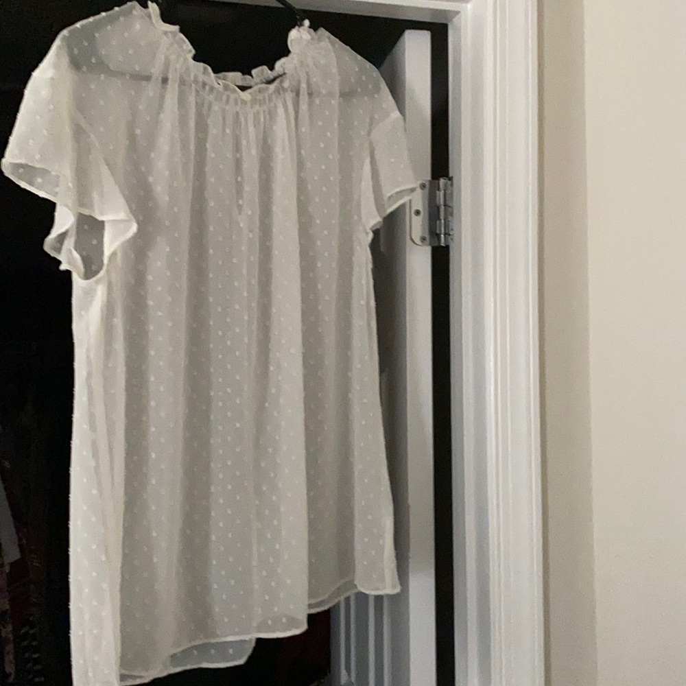 Sheer shirt